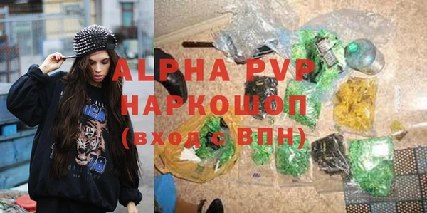 стафф Новодвинск