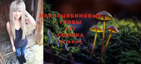 молекула духа Новокубанск