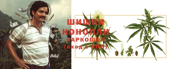 молекула духа Новокубанск