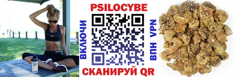 блэк спрут ссылки  Тайга  Псилоцибиновые грибы мицелий 